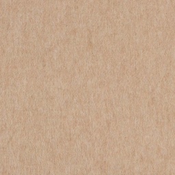 [403524] CAMEL, PLAIN