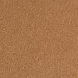 [403529] CAMEL, PLAIN