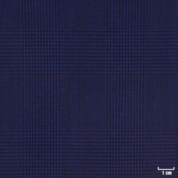 [450101] BLUE, CHECKS