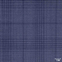 [450111] BLUE, CHECKS