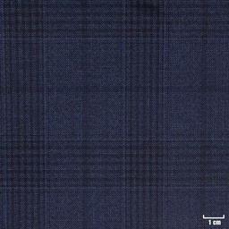 [450112] DARK BLUE, CHECKS