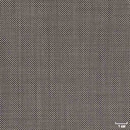 [450115] LIGHT GREY, BIRDEYE