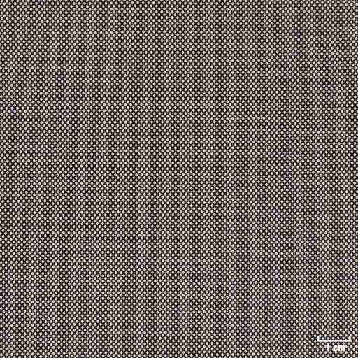 [450115] LIGHT GREY, BIRDEYE