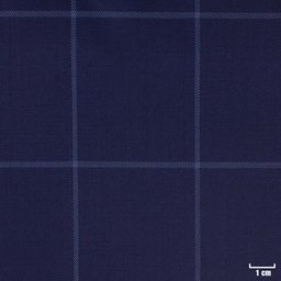 [450120] BLUE, CHECKS