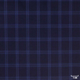 [450122] BLUE, SMALL CHECKS