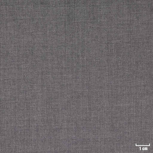 [450645] LIGHT GREY, PLAIN