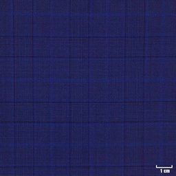 [450205] BLUE, CHECKS