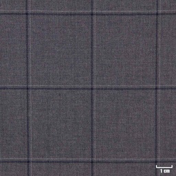 [450211] GREY, CHECKS