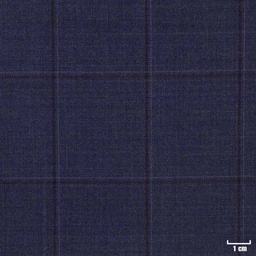 [450212] BLUE, CHECKS