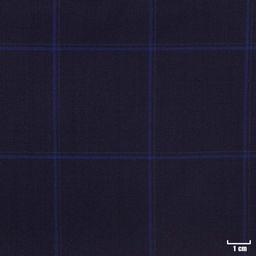[450213] DARK BLUE, CHECKS