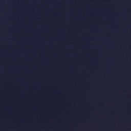 [450217] BLUE, PLAIN