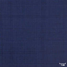 [450223] BLUE, CHECKS