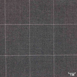 [450317] GREY, CHECKS