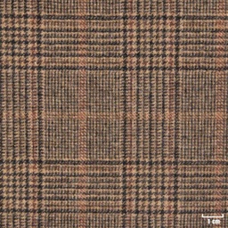[450401] BROWN, CHECKS