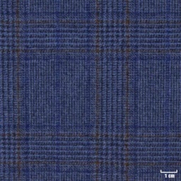 [450404] BLUE, CHECKS
