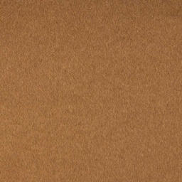 [450430] CAMEL, PLAIN