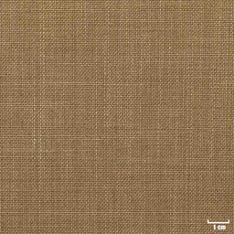 [450507] CAMEL, PLAIN