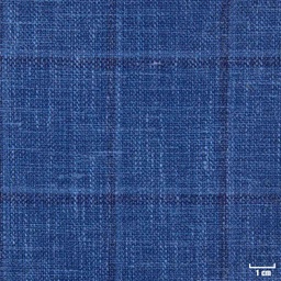 [450509] BLUE, CHECKS