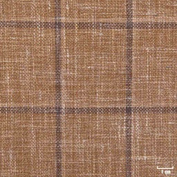 [450511] BROWN, CHECKS