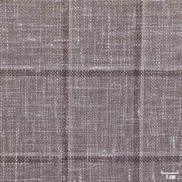 [450512] BROWN, CHECKS