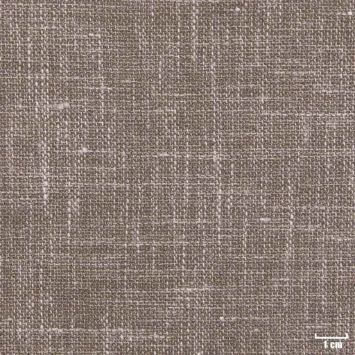 [450516] BROWN, PLAIN