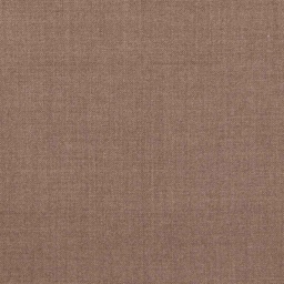 [450526] BROWN, PLAIN