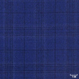 [450537] BLUE, CHECKS