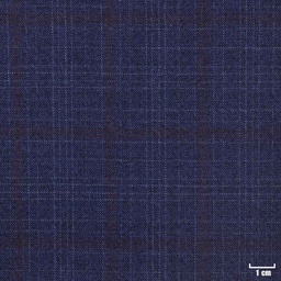 [450540] BLUE, BROWN CHECKS