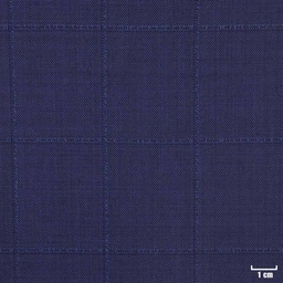 [450542] BLUE, CHECKS