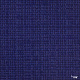 [450547] BLUE, CHECKS