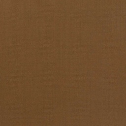 [450606] BROWN, PLAIN