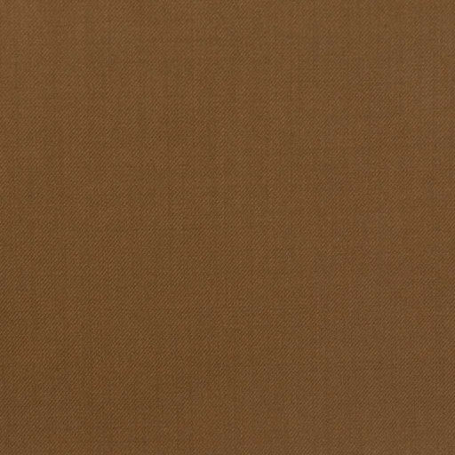[450606] BROWN, PLAIN