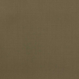 [450619] OLIVE, PLAIN