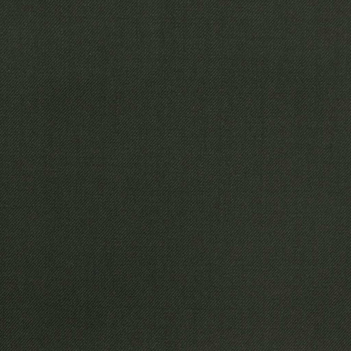[450624] DARK GREEN, PLAIN