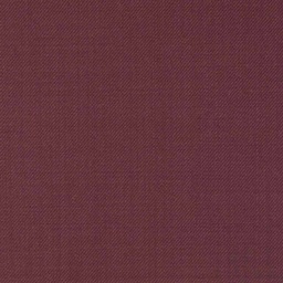 [450651] RED, PLAIN