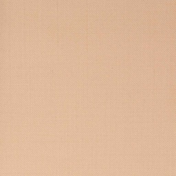 [450655] LIGHT ORANGE, PLAIN