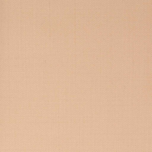 [450655] LIGHT ORANGE, PLAIN