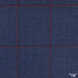 [450737] DARK BLUE, RED CHECKS