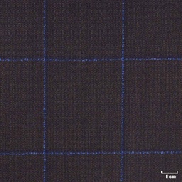 [450738] DARK BROWN, BLUE CHECKS