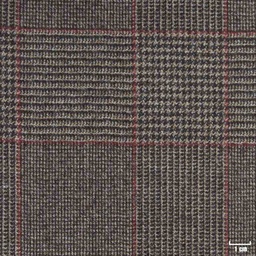 [450816] BROWN, CHECKS