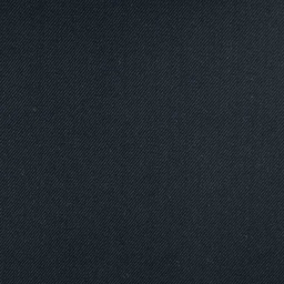 [450848] BLACK, PLAIN