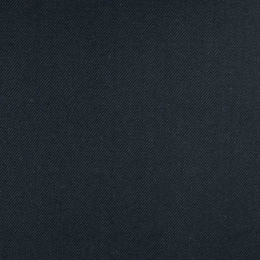 [450848] BLACK, PLAIN