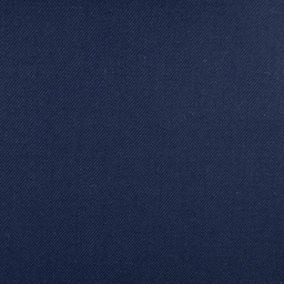[450849] BLUE, PLAIN