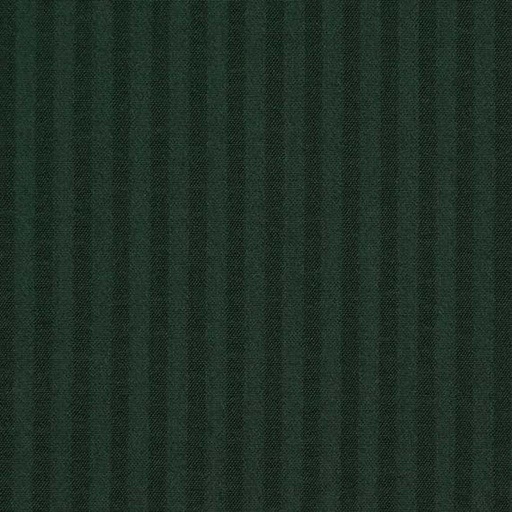 [450913] GREEN, STRIPES