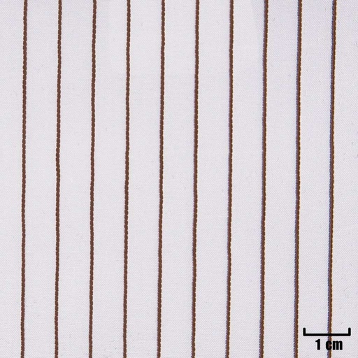[H11284] WHITE, BROWN STRIPES