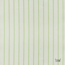 [H10479] WHITE, GREEN STRIPES