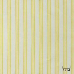 [H10492] WHITE, YELLOW STRIPES