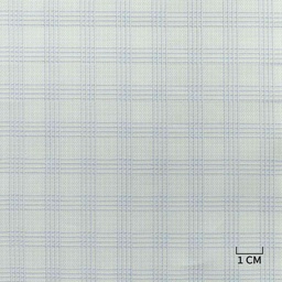 [H10465] BLUE, CHECKS