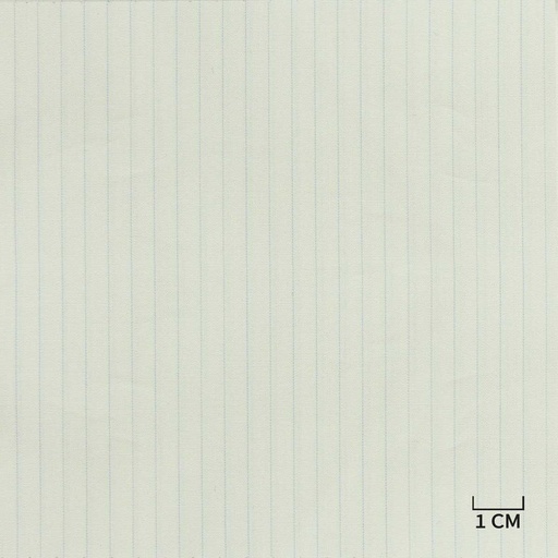 [A309] WHITE, BLUE STRIPES