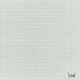 [H10440] WHITE, BLUE CHECKS